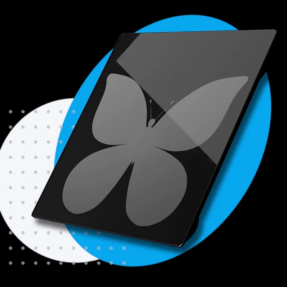 Blind Weight™ Scale